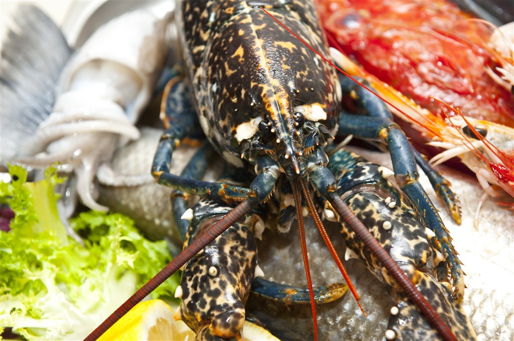 Nascar - Místní gastronomie, Santa Maria Navarrese, Sardinie