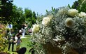 Hotel Villa Asfodeli - Svatba, Tresnuraghes, Sardinie