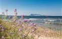 TH San Teodoro - Liscia Eldi - Výhled za pláže na ostrov Tavolara, San Teodoro, Sardinie, Itálie