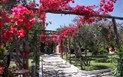 TH Costa Rei (ex Free Beach Club) - Krásná udržovaná zahrada, Costa Rei, Sardinie, Itálie