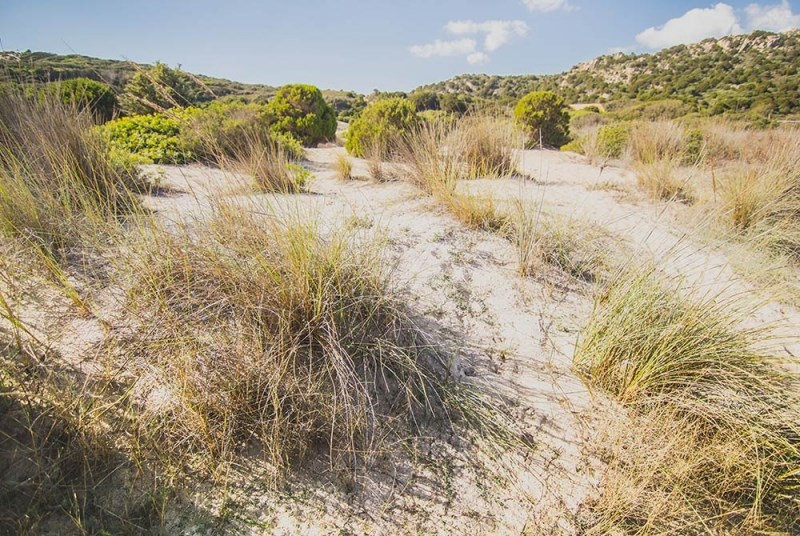 Písečné duny, Chia, Sardinie, Itálie