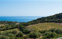 Bajaloglia Resort - Výhled do vinice, Castelsardo, Sardinie