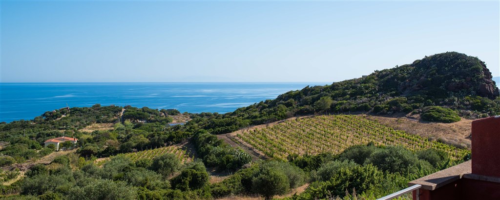 Výhled do vinice, Castelsardo, Sardinie