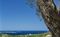 Li Finistreddi - Exclusive Country Retreat - Výhled z terasy, Cannigione, Sardinie