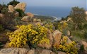 Anticos Palathos - Monte Urcatu, Sardinie