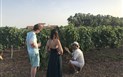 Is Cheas - Farma - Degustace na vinici, San Vero Milis, Sardinie