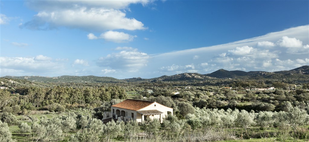 Olivový háj, Arzachena, Sardinie