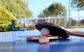 Hotel I Ginepri - Ping pong, Cala Gonone, Sardinie