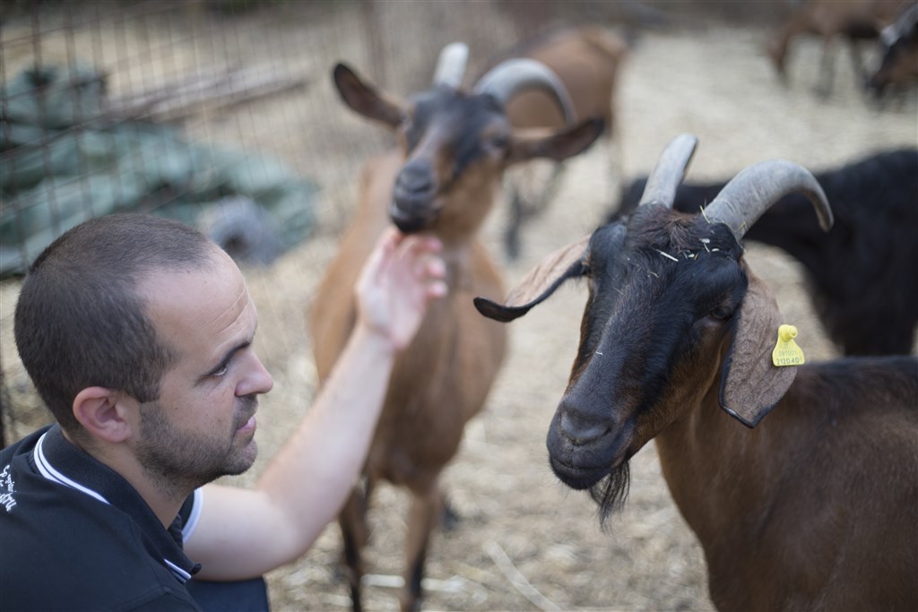 Agriturismo S`Ozzastru - Prohlídka farmy s průvodcem, Dorgali, Sardinie