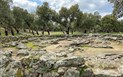 Podzim v Barbagii - Otevřené dvorky - Bitti - Svatyně Romanzesu, Bitti, Sardinie