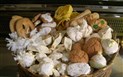 Podzim v Barbagii - Otevřené dvorky - Meana Sardo, Onani, Orgosolo - Onani, Nuoro, Sardinie
