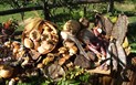 Podzim v Barbagii - Otevřené dvorky - Gadoni, Oniferi - Gadoni, Nuoro, Sardinie