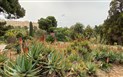 Silvestr 2022 v Cagliari - Botanická zahrada, Cagliari, Sardinie