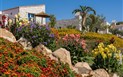 Cala Sinzias Resort - Rozkvetlá hotelová zahrada, Castiadas, Sardinie