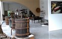 Vína severní Sardinie s Darinou - Muzeum vína, Berchidda, Sardinie