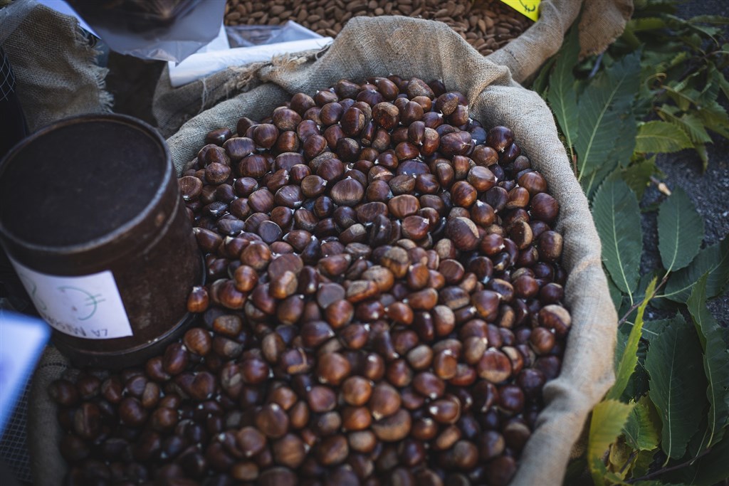 Jedlé kaštany, Aritzo, Sardinie