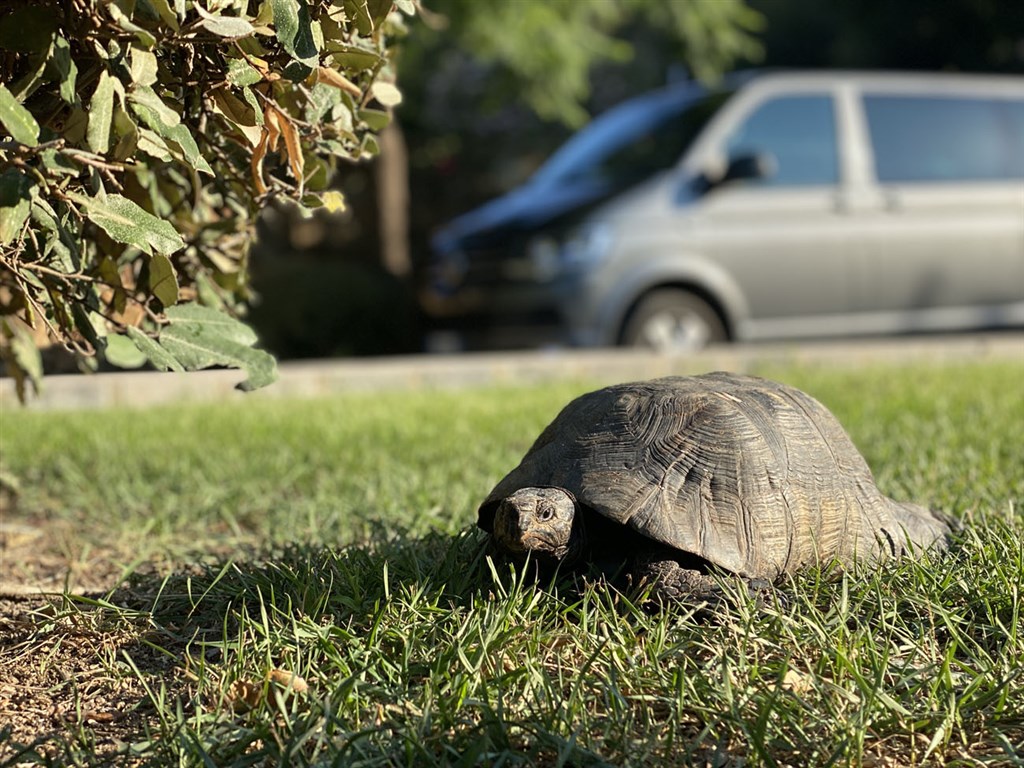 Eco Village Baia delle Ginestre - Hotelový návštěvník, Teulada, Sardinie