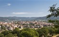 Atzara - 