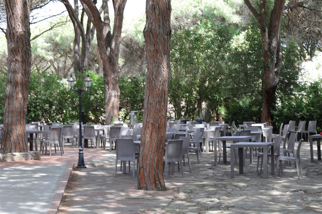 Bar v piniovém háji, Arborea, Sardinie