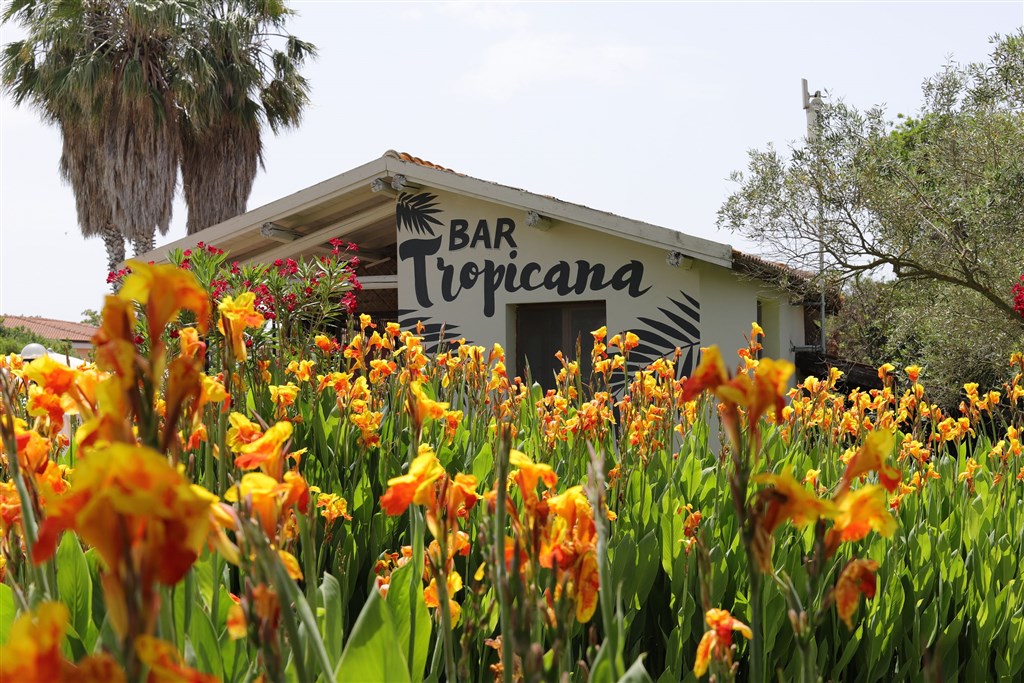 Bar Tropicana, Arborea, Sardinie