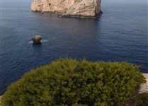 Oblast Capo Caccia - Isola Foradada