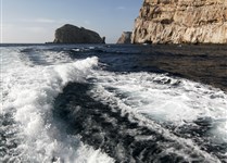 Výlet lodí do jeskyní Grotte di Nettuno