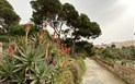 Podmanivá Sardinie - příroda, historie, město - Botanická zahrada, Cagliari, Sardinie