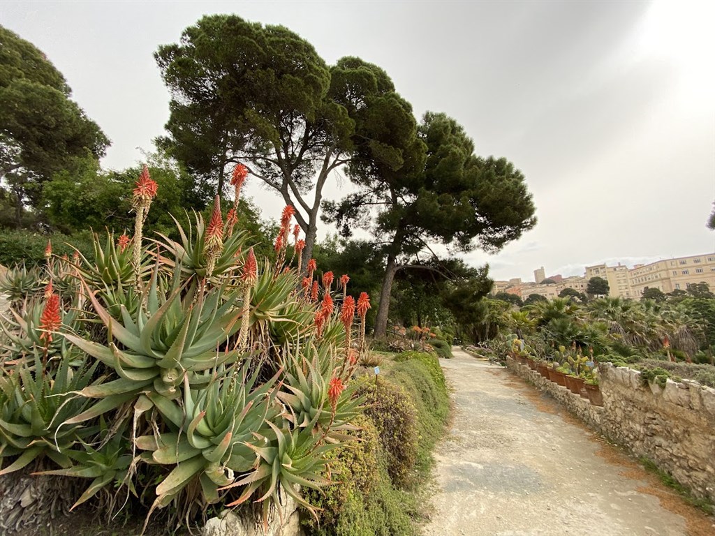 Botanická zahrada, Cagliari, Sardinie