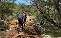 Podmanivá Sardinie - příroda, historie, město - Trekking, záliv Orosei, Sardinie