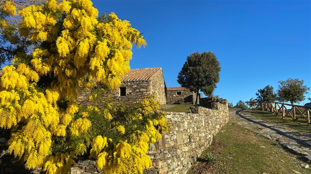 Kostel San Salvatore, Ussassai, Sardinie