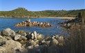 Punta Falcone Resort - Moře, Santa Teresa di Gallura, Sardinie