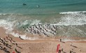 Chia Sports Week 2025 - Chia Sport Week - Reel completo (orizzontale)  - frame at 0m25s