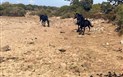 Sardinie: Ostrov pokladů včetně vstupů - IMG_2472