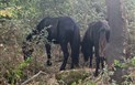 Sardinie: Ostrov pokladů včetně vstupů - IMG_2489