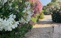 Futura Club Cala Fiorita - Cestička na pláž, Agrustos, Budoni