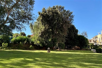 Zeleň okolo residence, Porto Rotondo, Sardinie