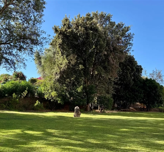 Zeleň okolo residence, Porto Rotondo, Sardinie