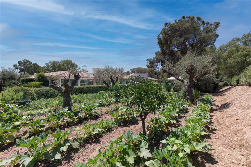 Eliantos Boutique Hotel & Spa - Hotelové záhony, Santa Margherita di Pula, Sardinie