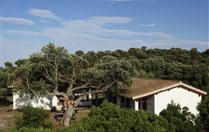 AGRITURISMO CONCA' E JANAS - Oblast NUORO