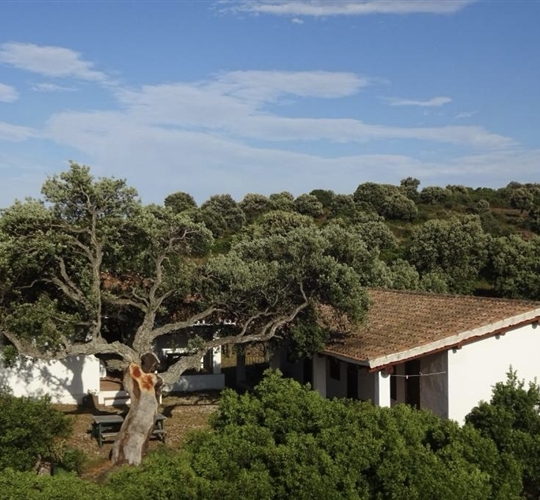 Agriturismo Conca' e Janas, Dorgali, Sardinie
