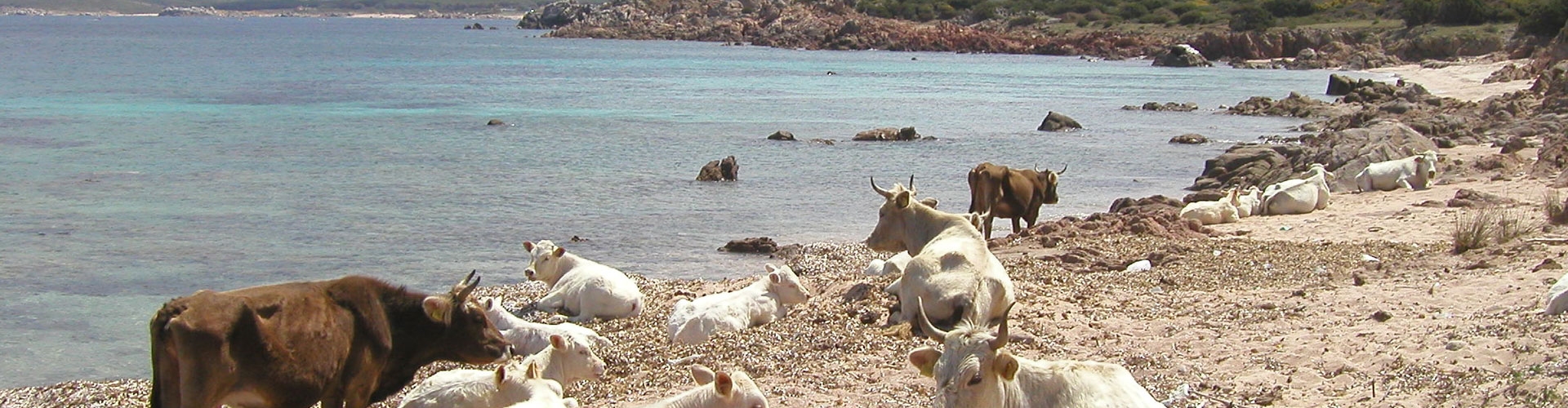Agriturismo Li Pireddi