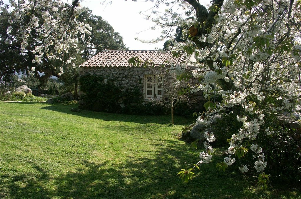 Agriturismo Li Pireddi - Agriturismo Li Pireddi, Aglientu, Sardinie