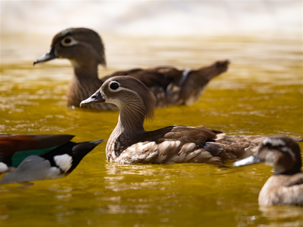 Nature Park, Santa Margherita di Pula, Sardinie