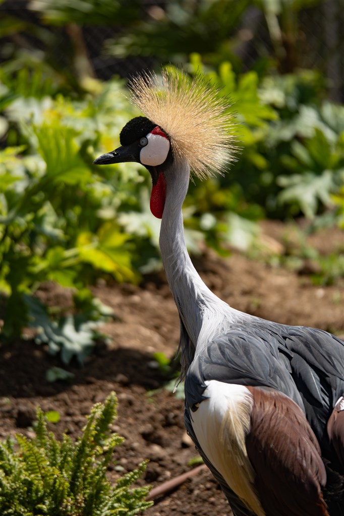 Nature Park, Santa Margherita di Pula, Sardinie