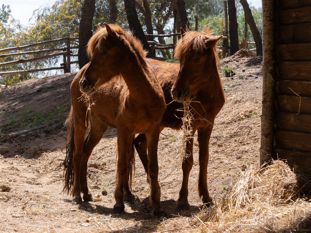 Nature Park, Santa Margherita di Pula, Sardinie