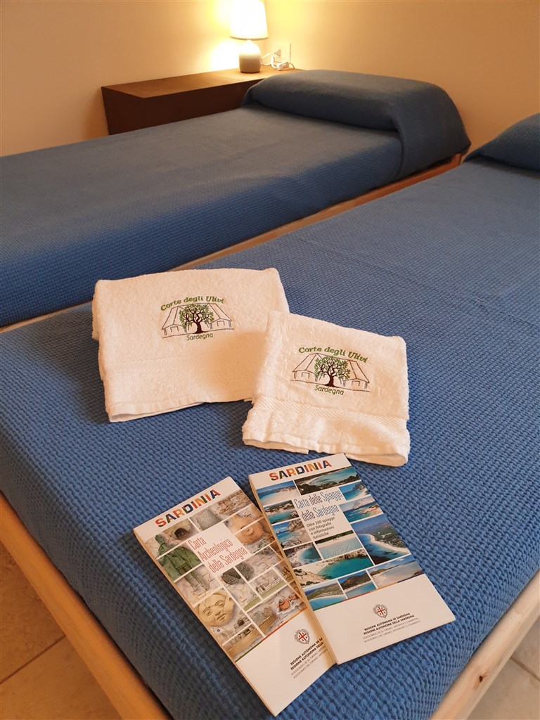 Agriturismo Corte degli Ulivi - DVOULŮŽKOVÝ pokoj s oddělenými lůžky, Capoterra, Sardinie