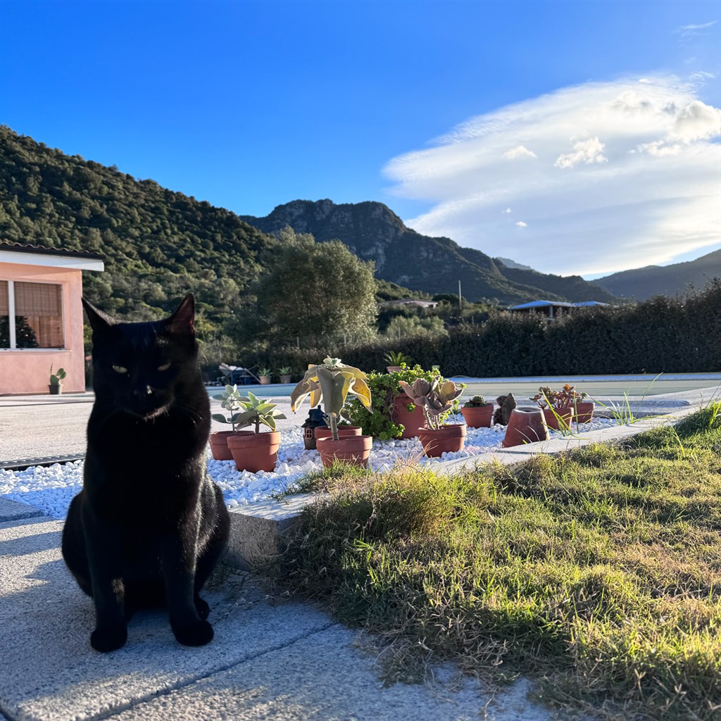 Sa Jana Holidays (16+) - Exteriéry, Cardedu, Sardinie