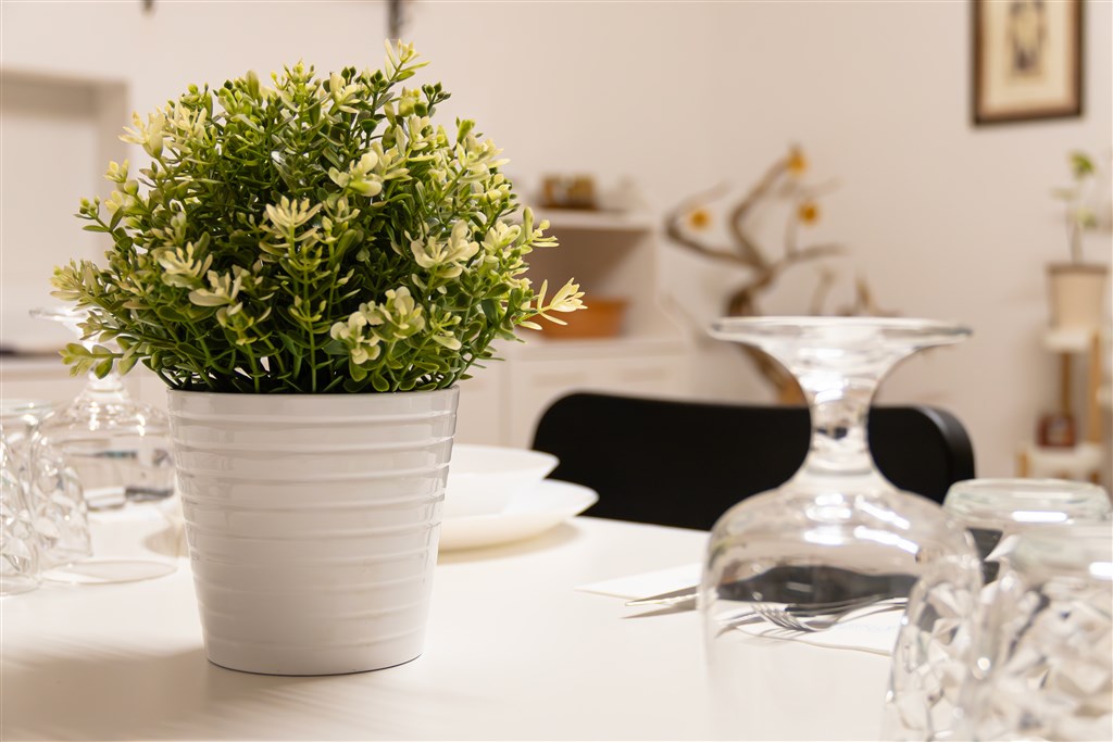 Sa Jana Holidays (16+) - Společenská místnost, Cardedu, Sardinie