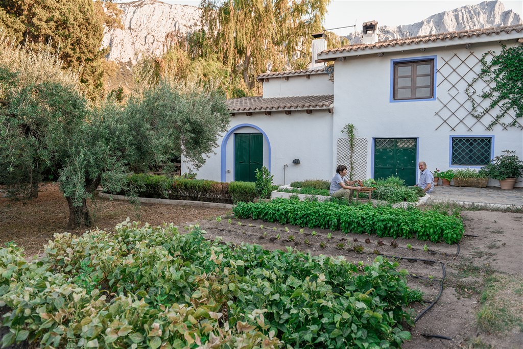 Agriturismo Guthiddai - Zahrádka, Guthiddai, Sardinie