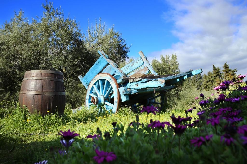 Agriturismo Guthiddai - Zahrada, Guthiddai, Sardinie